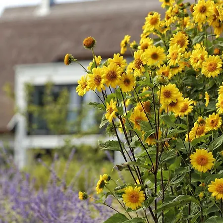 Kapitaensweg 17 * Karlshagen