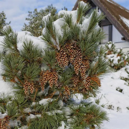 別荘 Kapitaensweg 17