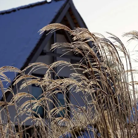 Dom wakacyjny Kapitaensweg 17 Karlshagen